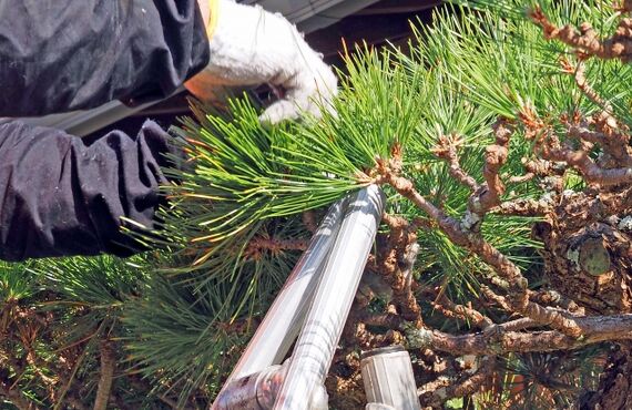 土浦市で植木職人の求人募集をする山中造園